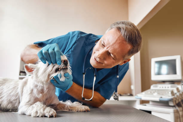 Best Emergency Broken Tooth Repair in Crosbyton, TX